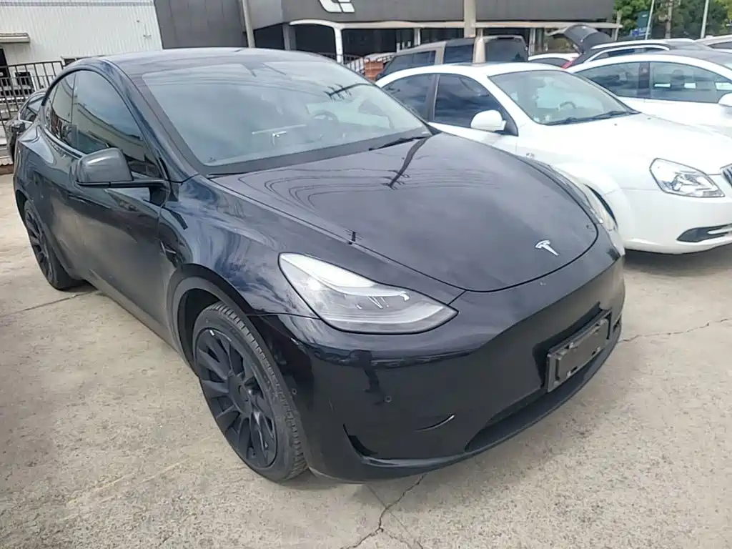 Tesla Model Y — миниатюра 4