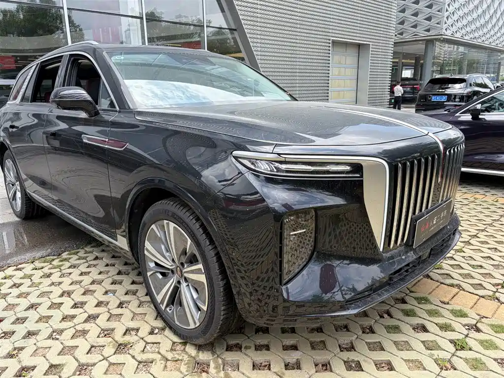 Hongqi E-HS9 2025 690km мест