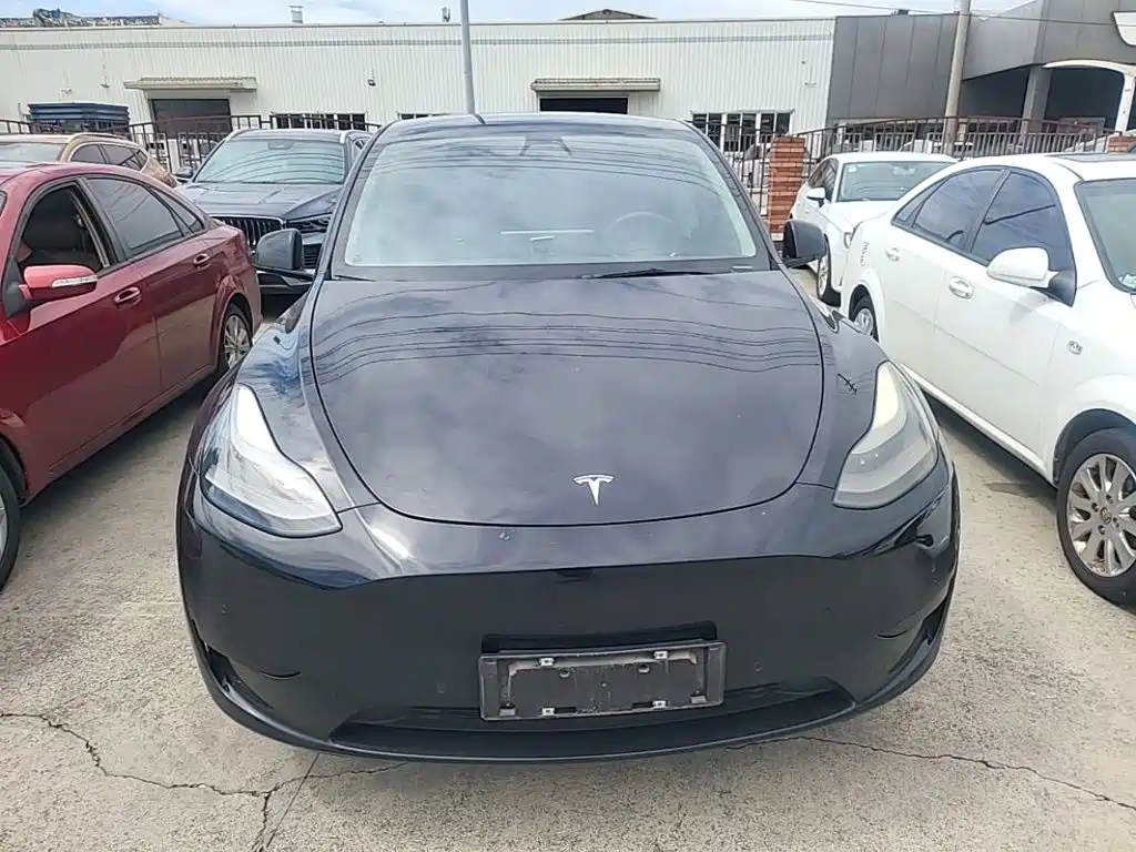 Tesla Model Y — миниатюра 3