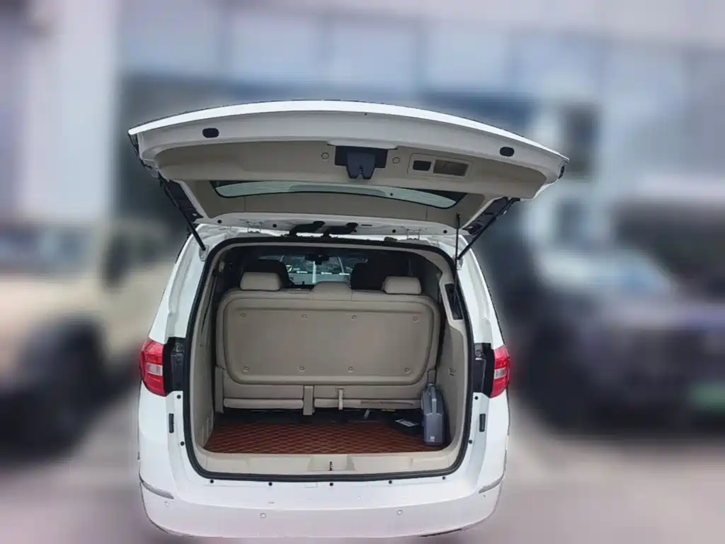 Buick GL8 — миниатюра 10