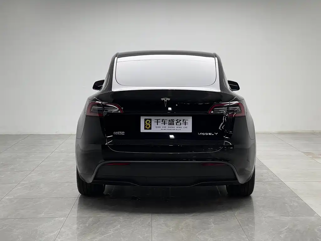 Tesla Model Y — миниатюра 5