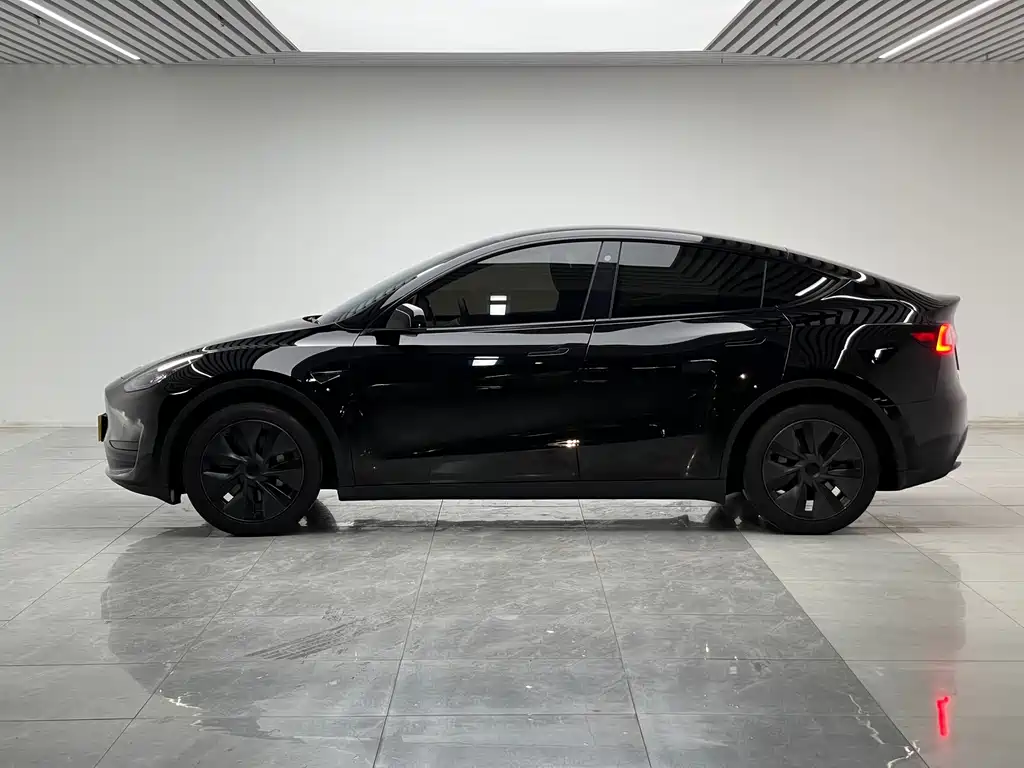 Tesla Model Y — миниатюра 7