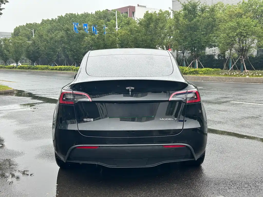 Tesla Model Y — миниатюра 4