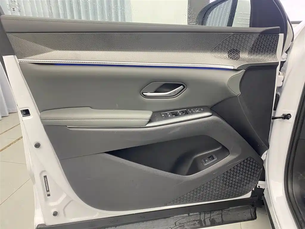 BYD SONGJIANG NEW ENERGY