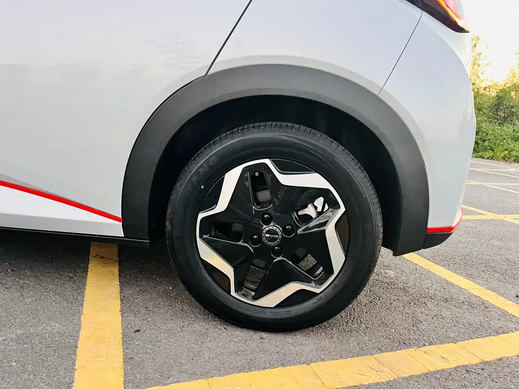 BYD Dolphin — миниатюра 17