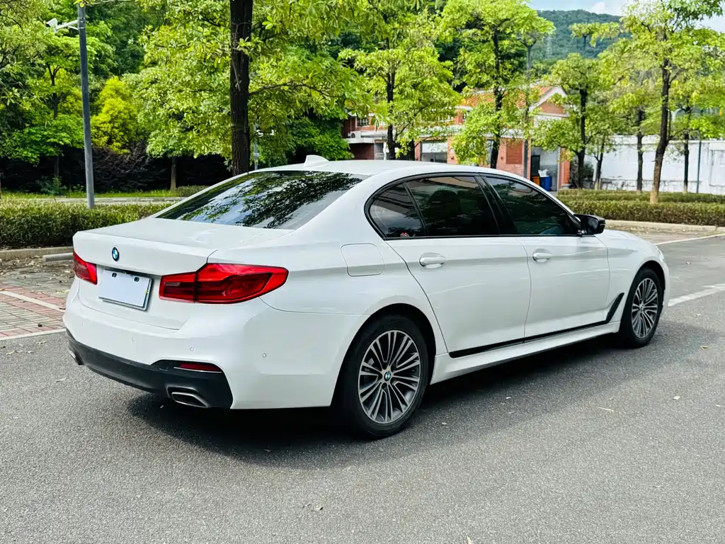 BMW 5 Series 5 2020 525Li M Sport