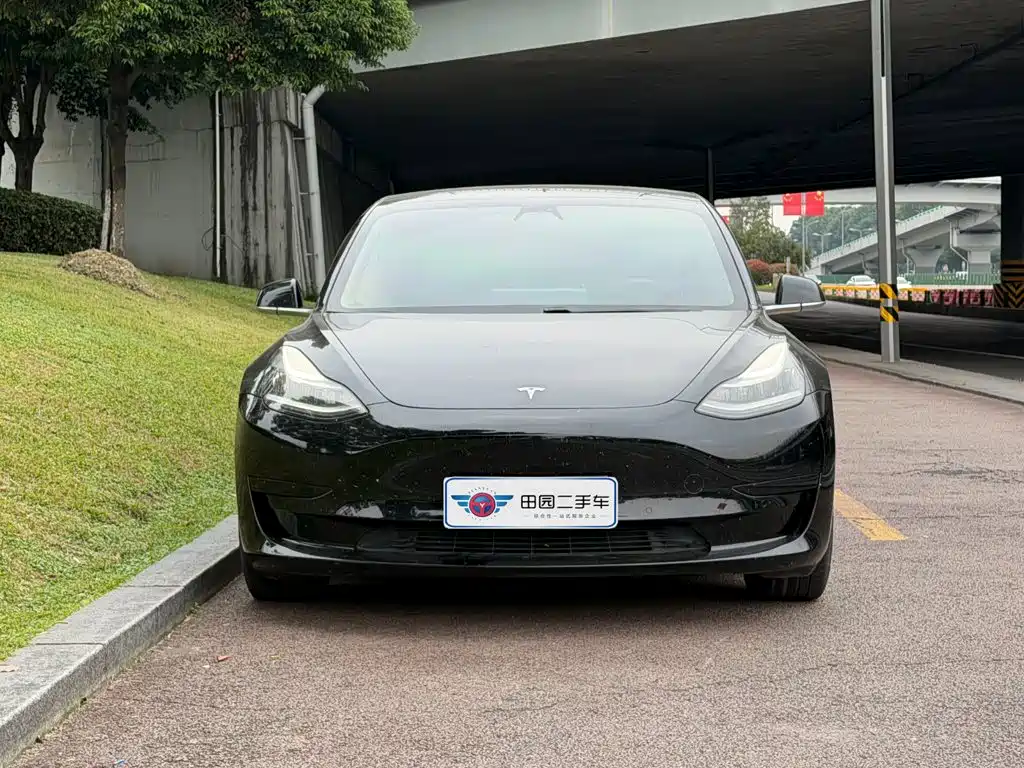 Tesla Model 3 — миниатюра 2