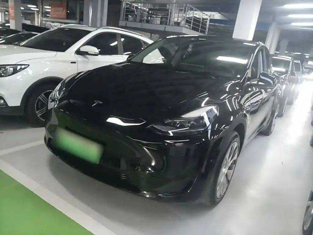 Tesla Model Y — миниатюра 2