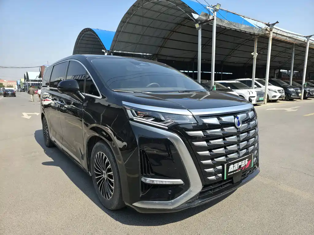 Denza Denza D9 — миниатюра 3