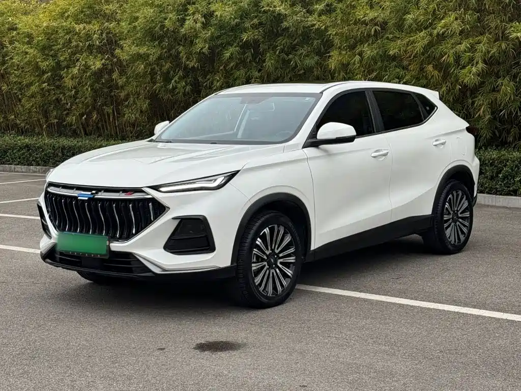 Oshan Oushang X5 — миниатюра 2