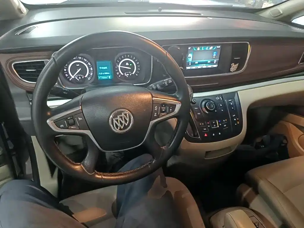 Buick GL8 — миниатюра 10