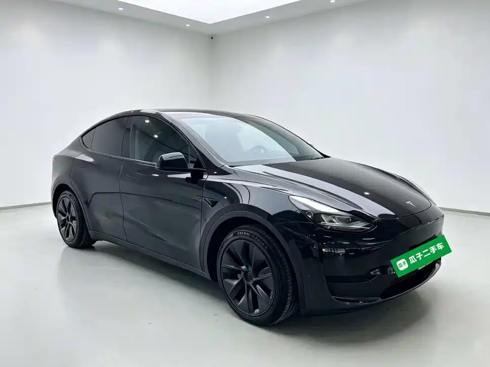 Tesla Model Y — миниатюра 4