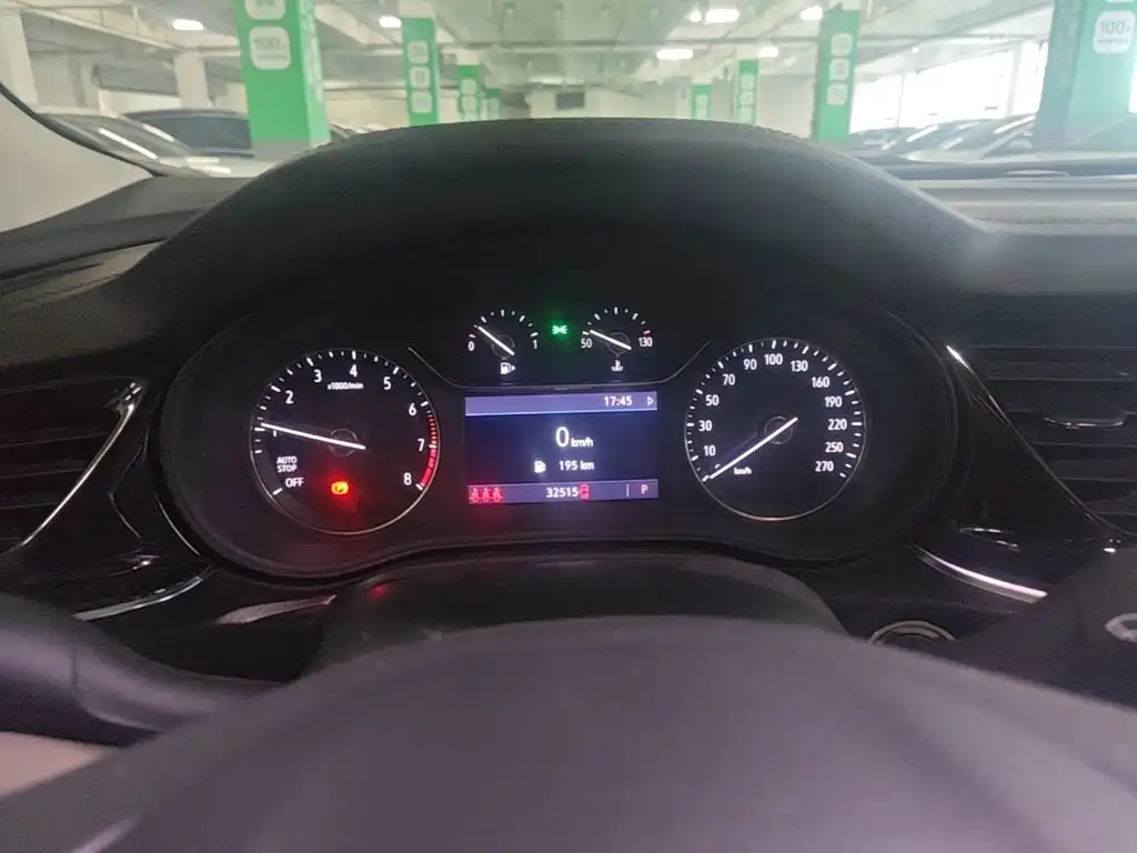 Buick Regal — миниатюра 14