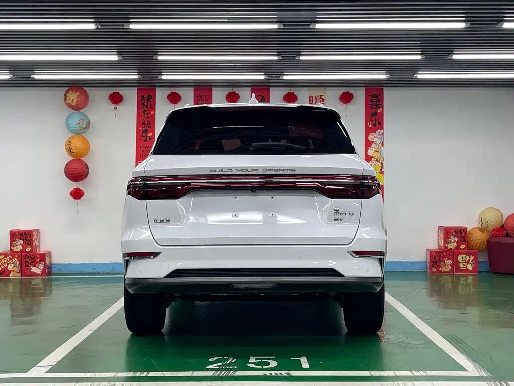 BYD Pro New Energy — миниатюра 6
