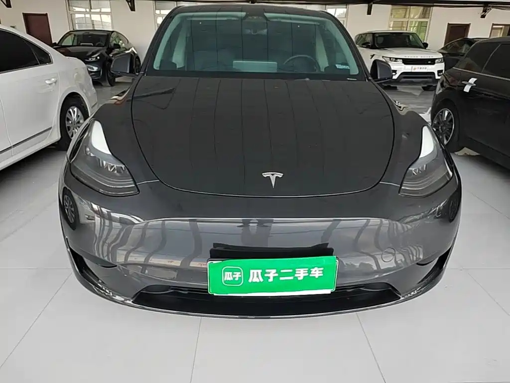 Tesla Model Y — миниатюра 3