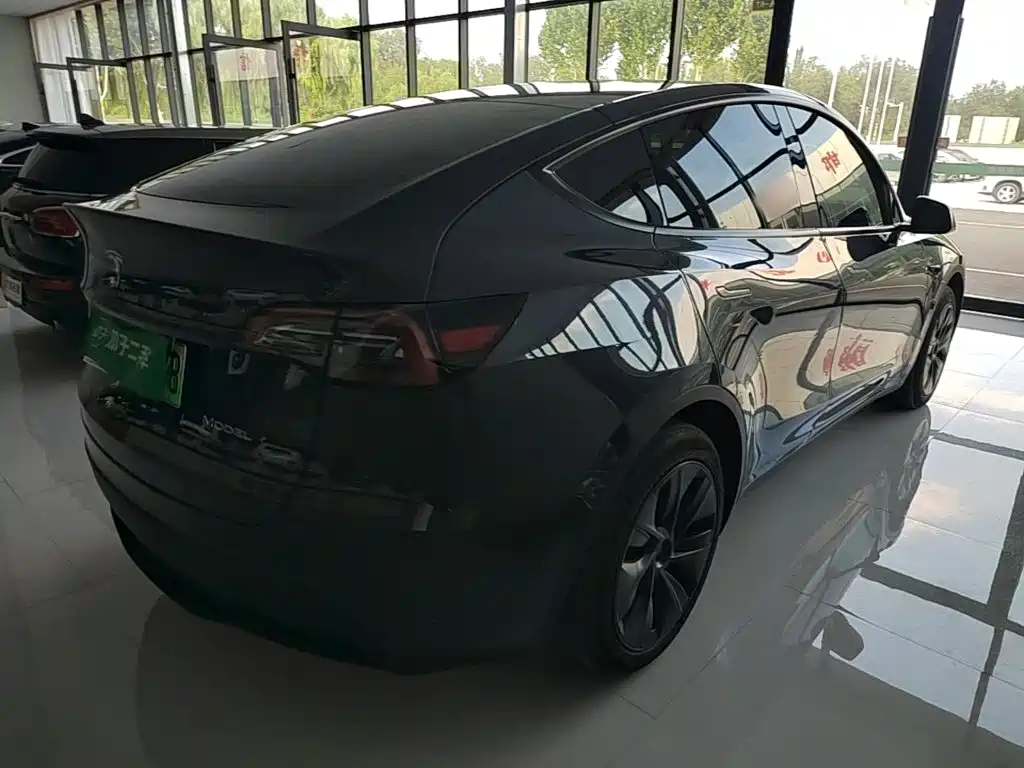 Tesla Model Y — миниатюра 7