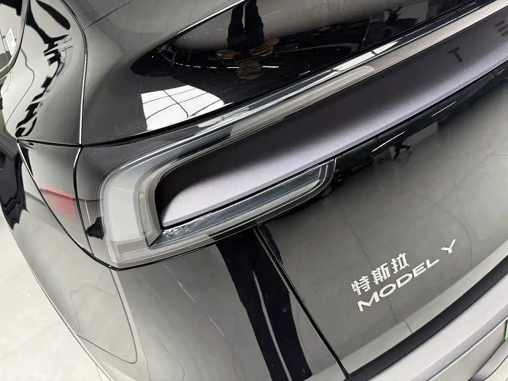 Tesla Model Y — миниатюра 7