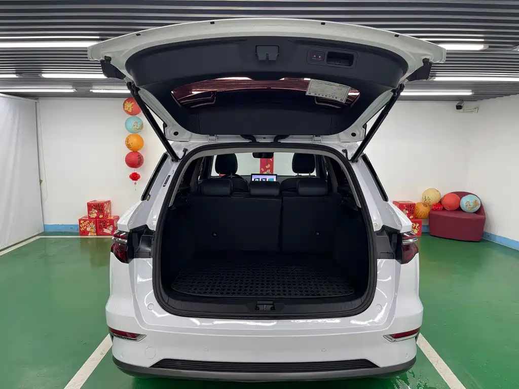 BYD Pro New Energy — миниатюра 26