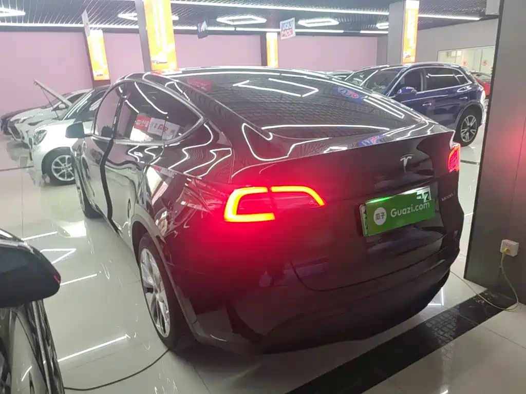 Tesla Model Y — миниатюра 5