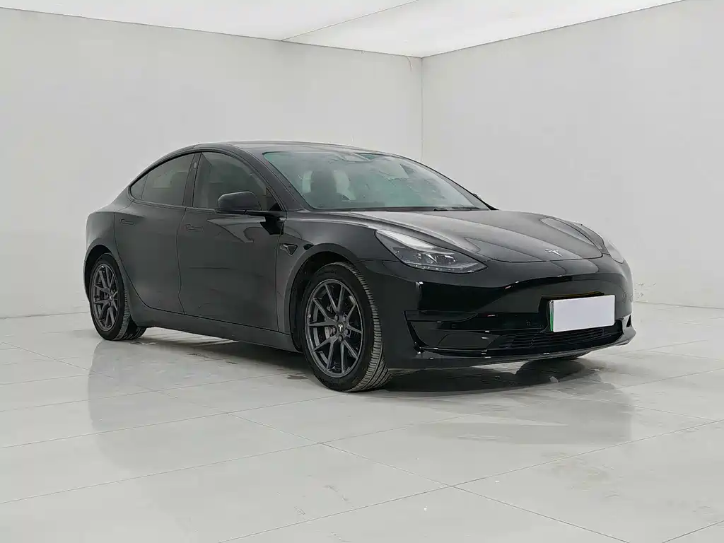 Tesla Model 3 2021 3D1