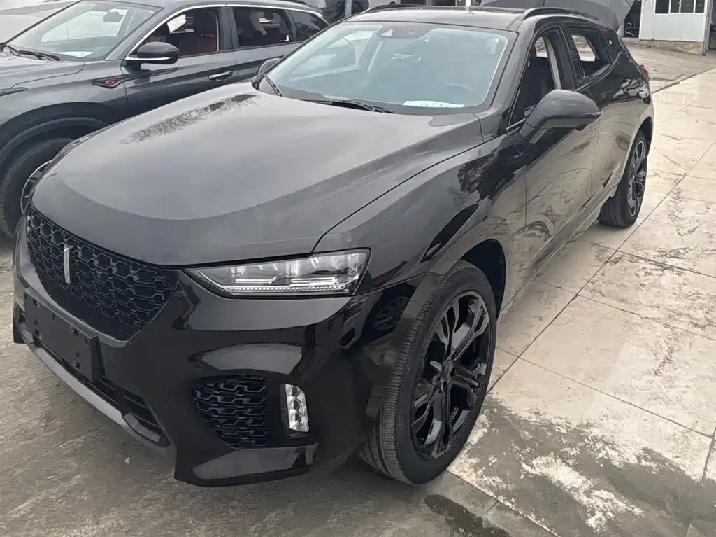 WEI PAI WEI BRAND VV7