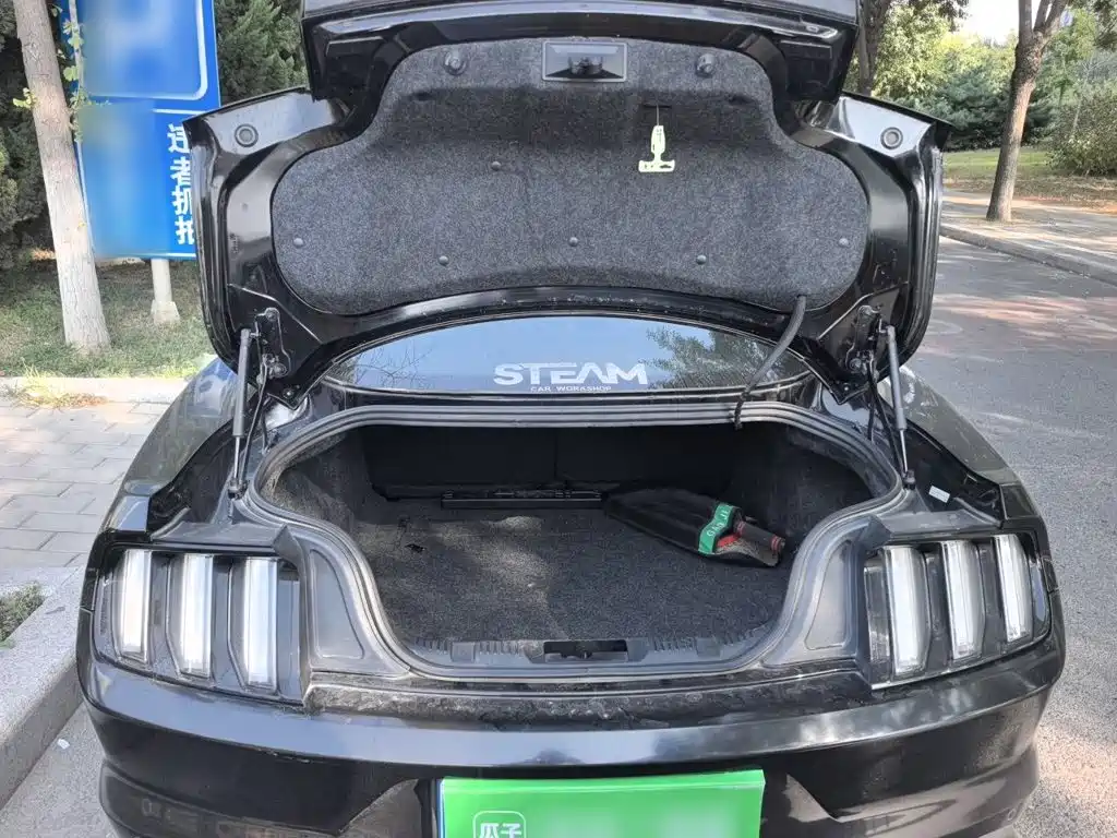 Ford Mustang — миниатюра 20