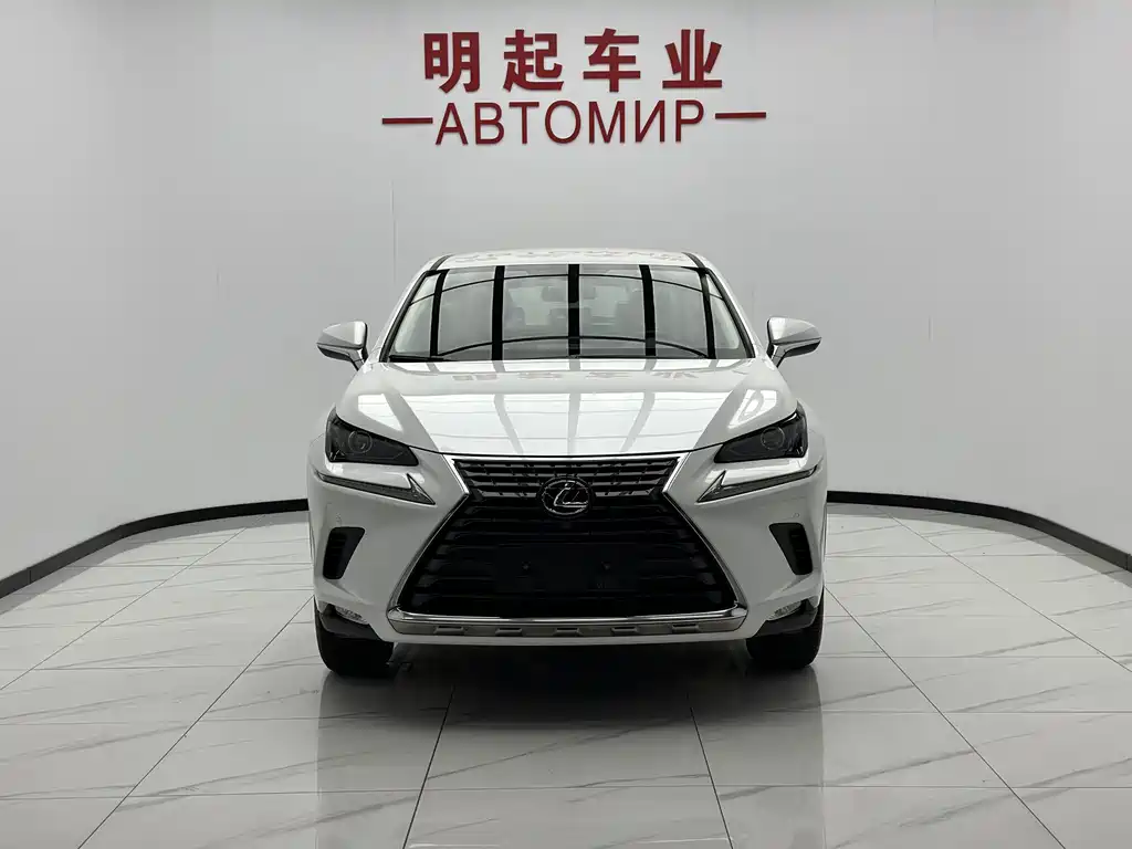 Lexus NX — миниатюра 2