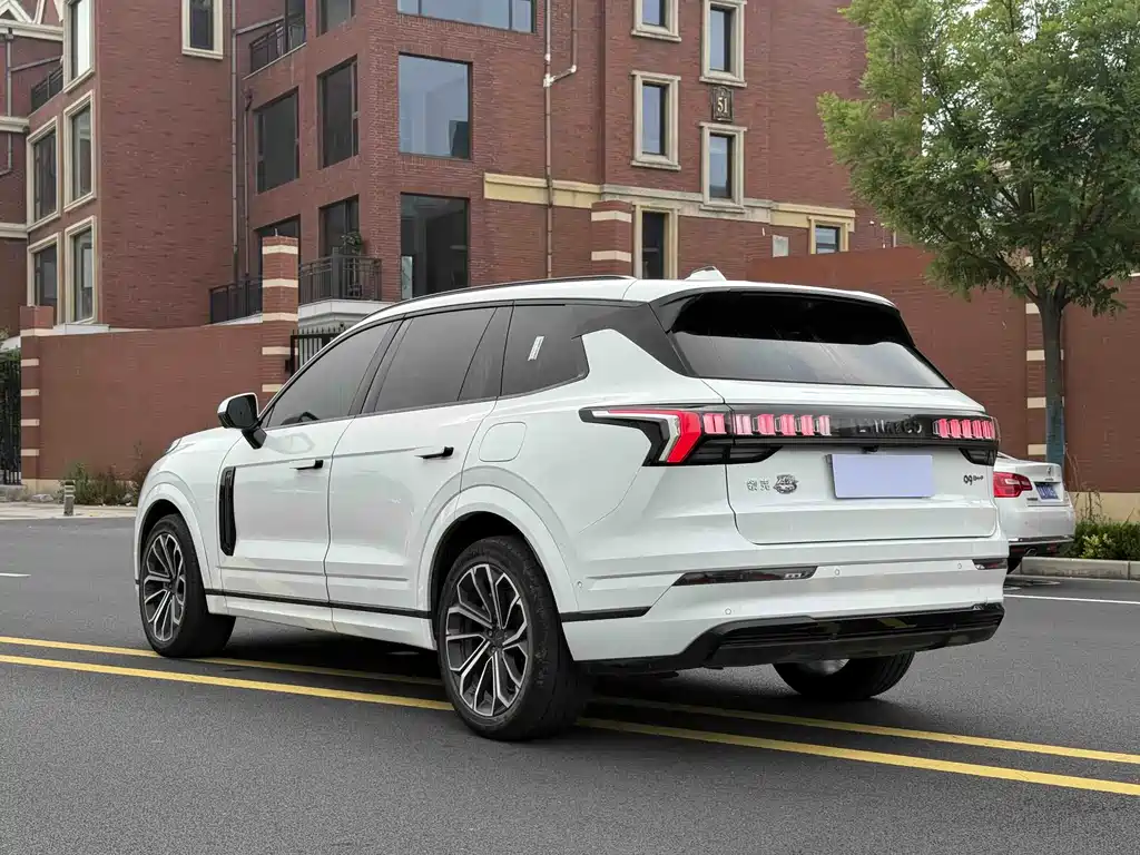 Lynk & Co 09 EM-P 2024 2.0TD EM-P PRO мест
