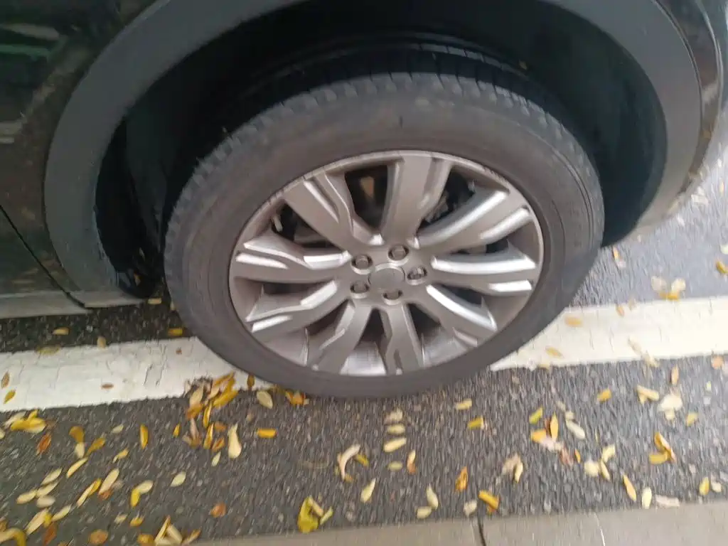 Land Rover Discovery Sport — миниатюра 8