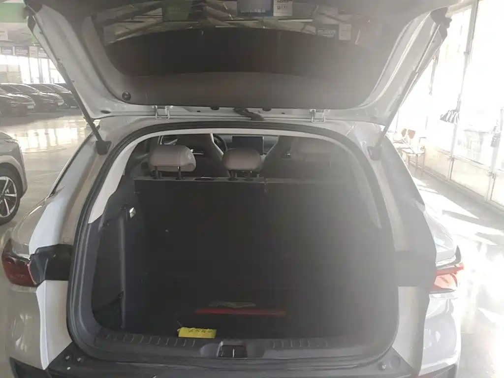 BYD Yuan Plus — миниатюра 19