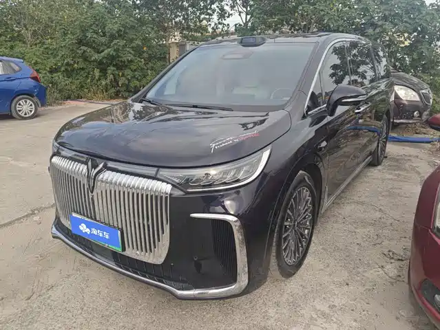 2025 Voyah Dream
