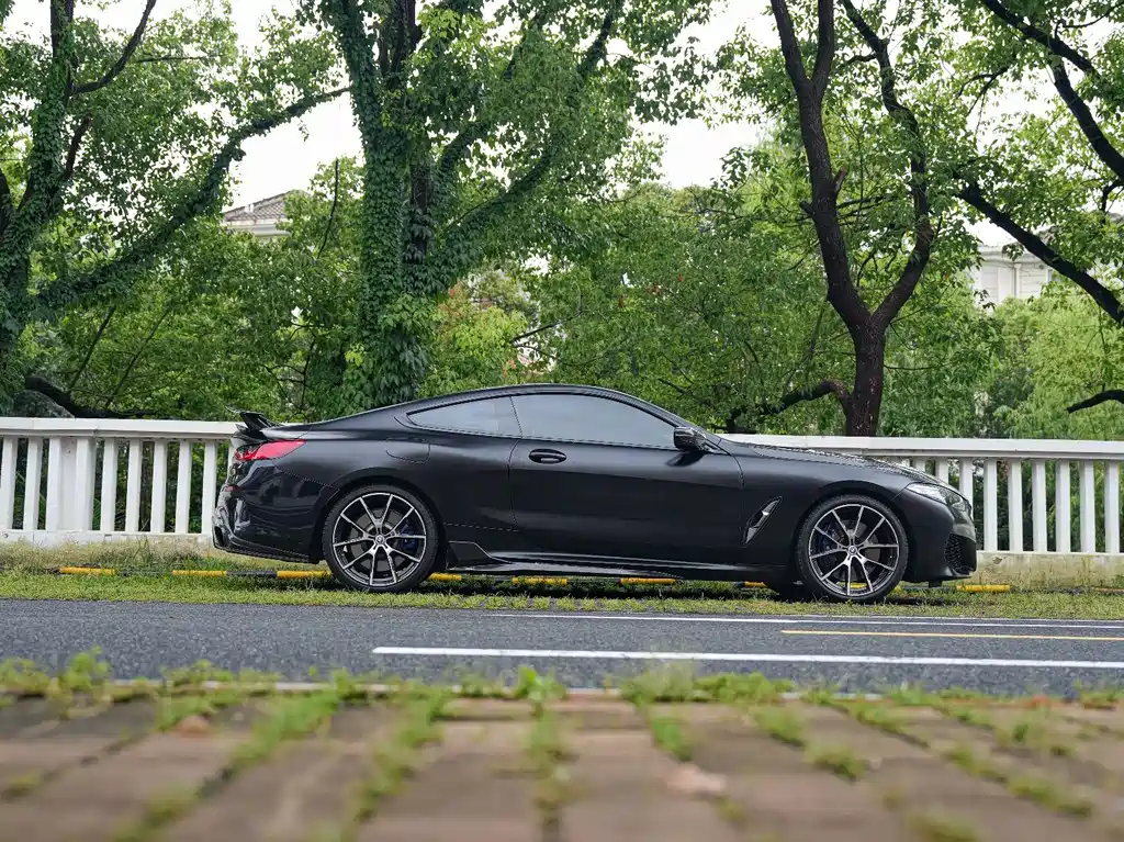 BMW 8 Series — миниатюра 11