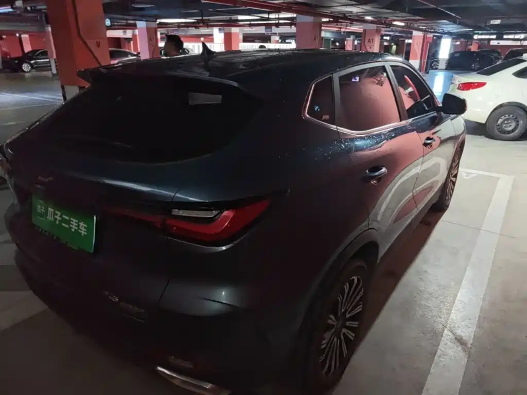 Oshan Oushang X5 — миниатюра 7