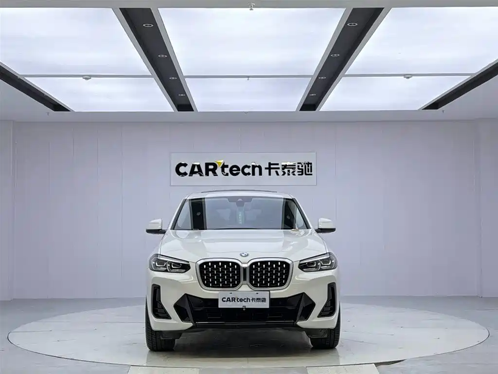 BMW X4 xDrive 25i M Sport Package, фото 8