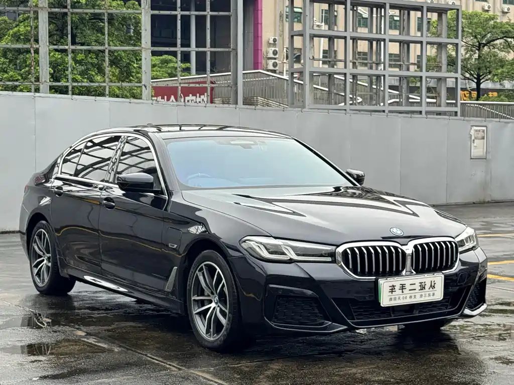 BMW 5 Series New Energy — миниатюра 3