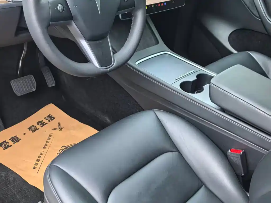 Tesla Model Y — миниатюра 4
