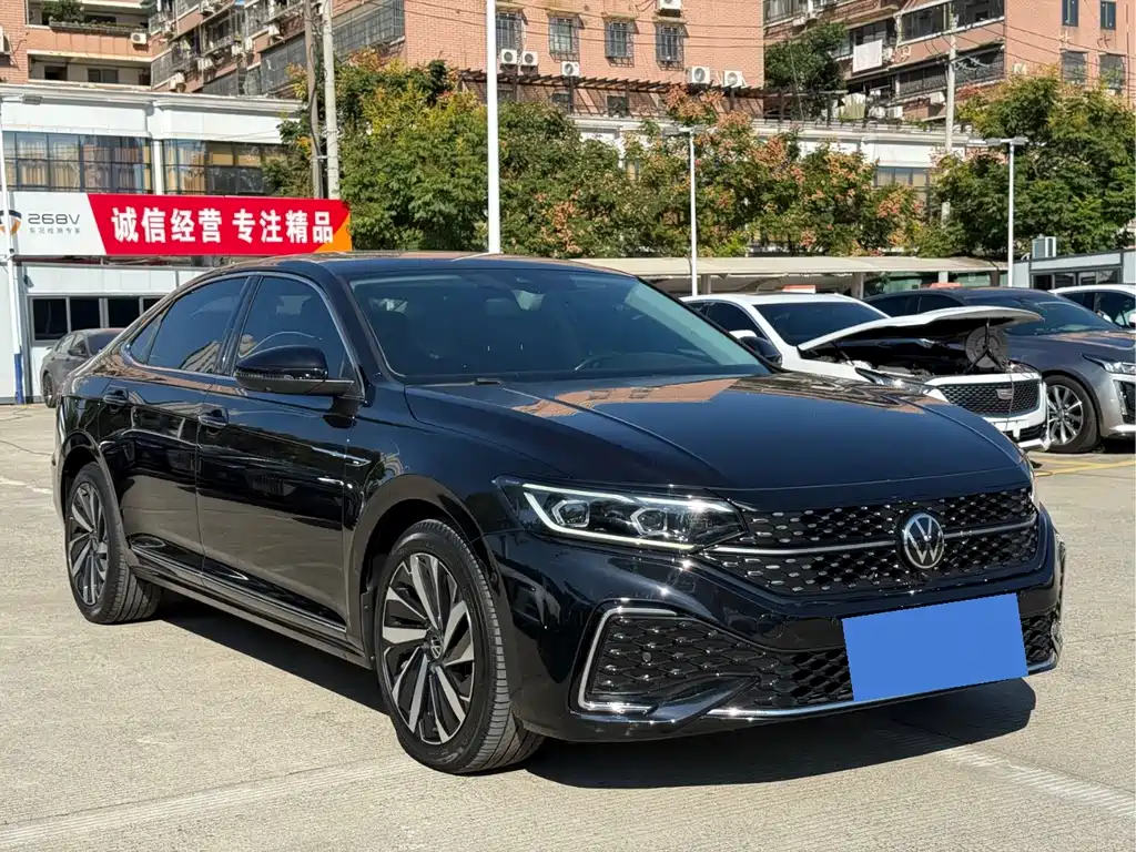 Volkswagen Passat — миниатюра 3