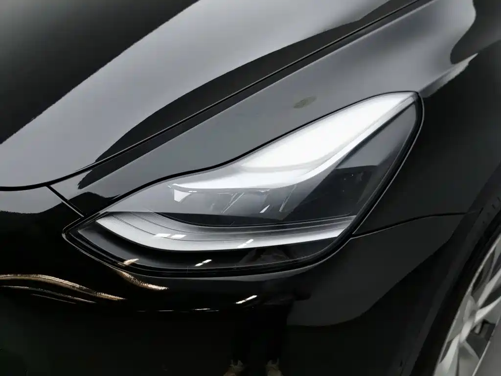 Tesla Model Y — миниатюра 7