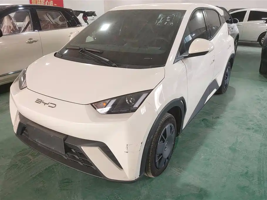 Byd Seagull 2024
