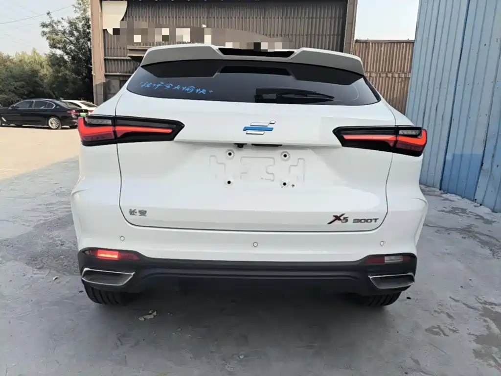 Oshan Oushang X5 — миниатюра 6