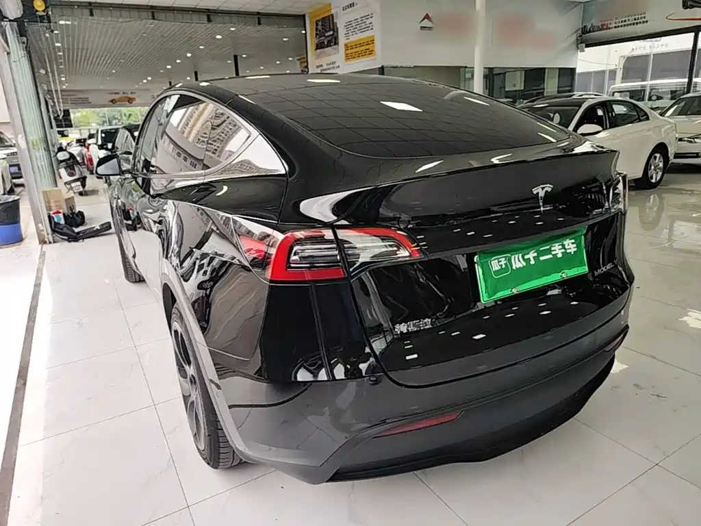Tesla Model Y — миниатюра 5
