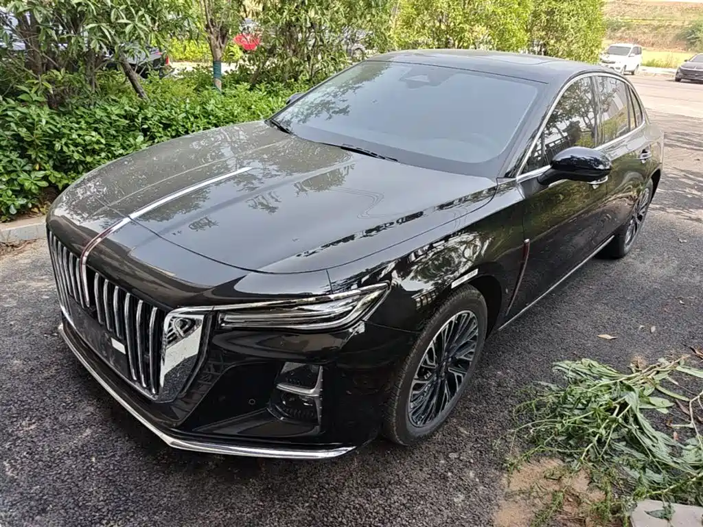 Hongqi Hongqi H5 2024