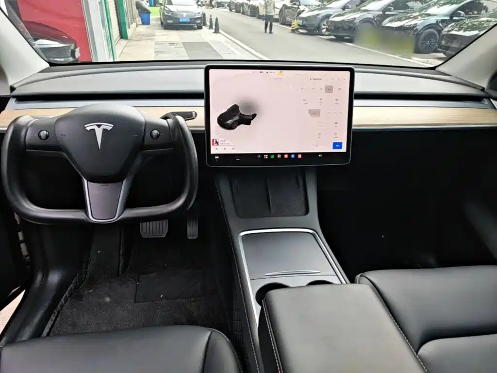 Tesla Model Y — миниатюра 10