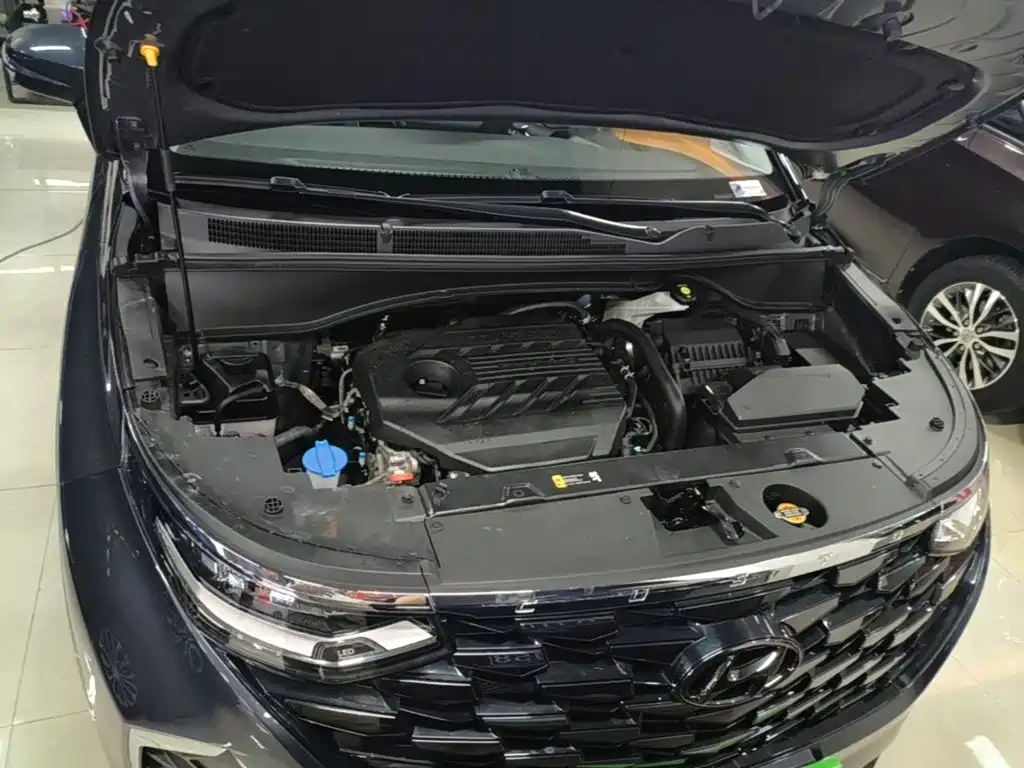 Hyundai Custo — миниатюра 20