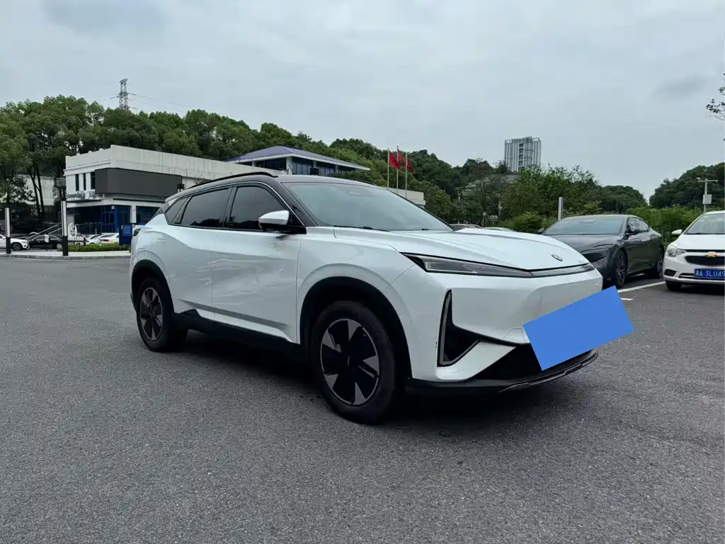 Dongfeng L7 2024 110 Pro