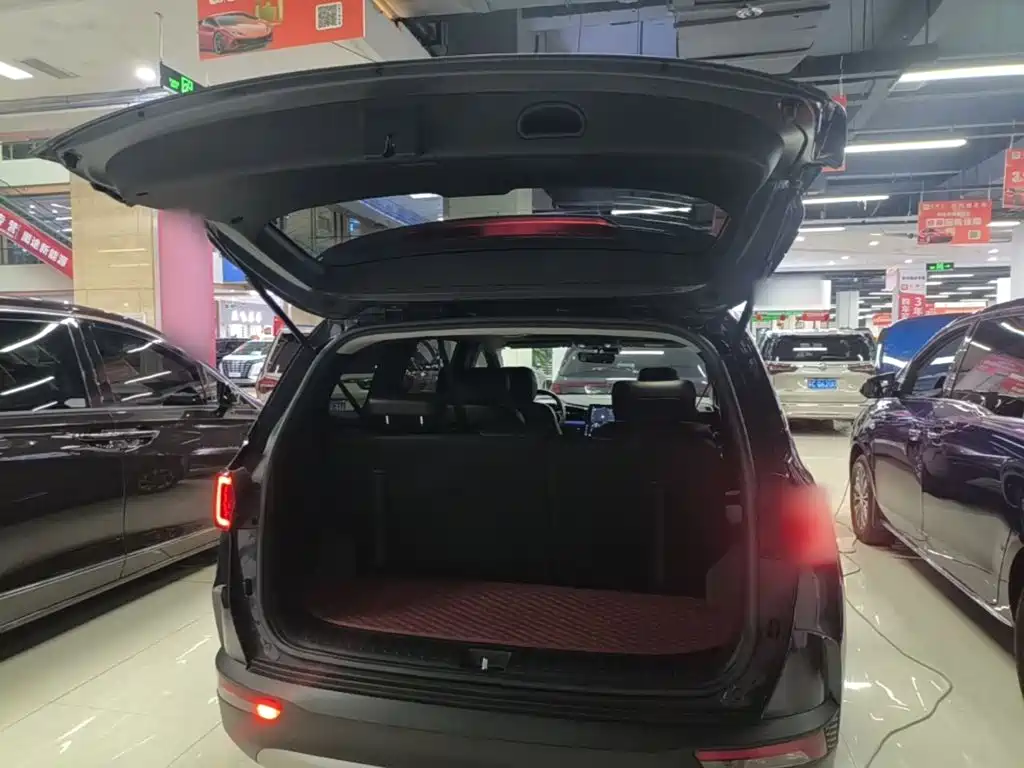 Hyundai Custo — миниатюра 19