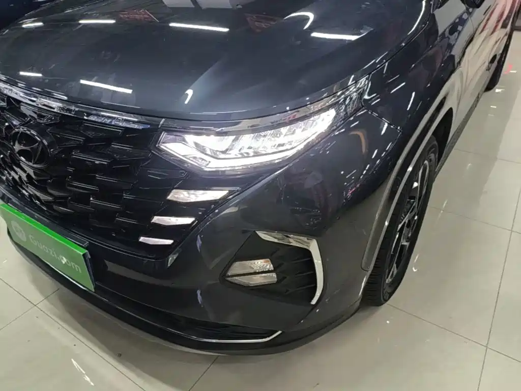 Hyundai Custo — миниатюра 24