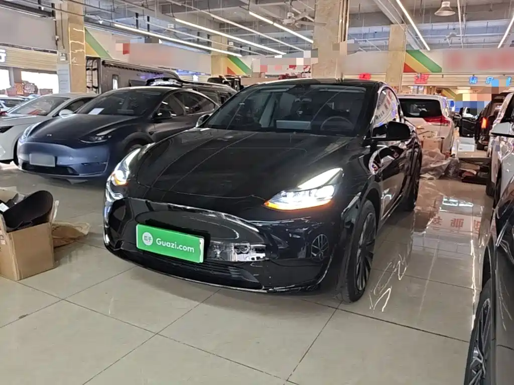 Tesla Model Y — миниатюра 2