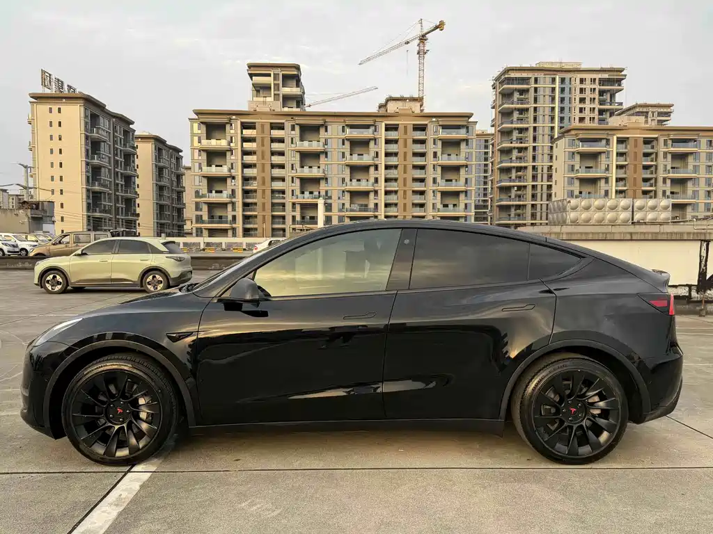 Tesla Model Y — миниатюра 10
