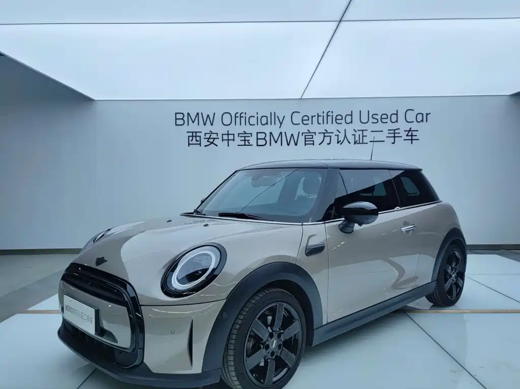 Mini Mini 2023